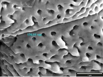 Imagem da notícia "Mauá instala laboratório de microscopia eletrônica de varredura"