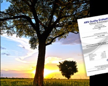 Imagem da notícia "Romi lança Portal ESG e se alinha às melhores práticas do mercado"