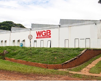 Imagem da notícia "WGB Automação expõe nova linha de produtos na Expomafe"