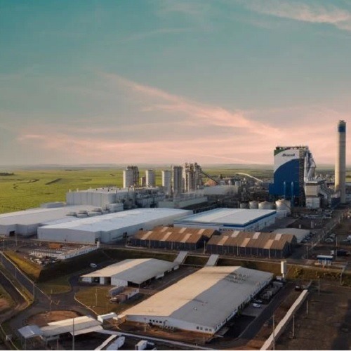 Imagem da notícia "WEG fornece mais de 6 mil itens para a fábrica da Bracell"